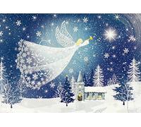 Tidings of Joy Deluxe Boxed Holiday Cards: Christmas Cards, Greeting Cards