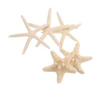 TIDTALEO 5 Imanes Magnéticos de Estrella de Mar para Nevera, Decoración Creativa para Cocina, Pegatinas Magnéticas Compactas (5-9 Cm), Accesorios de Cocina Originales y Varios Estilos