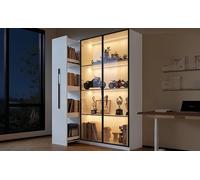 Tidyard Vitrina LED con Cajón Extraíble para Almacenamiento: Estantería Moderna de 110,5 × 35 × 160 cm para Decoración y Organización en Diversas Habitaciones Modelo YFXGG527-N880P3974567W