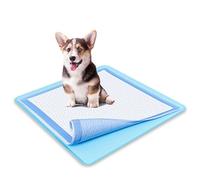 TidyFriend - Soporte para almohadillas para orina de perro de 24 x 24 pulgadas, tapete de silicona flexible enrollable con borde suave, limpieza rápida y potable (azul cielo)