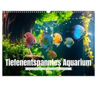 Tiefenentspanntes Aquarium (Wandkalender 2026 DIN A3 quer), CALVENDO Monatskalender: Ein Aquarium: ein Fenster zu einer Welt, in der Zeit nicht eilt und Sorgen versinken.