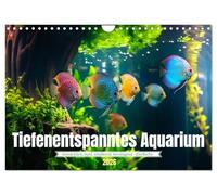 Tiefenentspanntes Aquarium (Wandkalender 2026 DIN A4 quer), CALVENDO Monatskalender: Ein Aquarium: ein Fenster zu einer Welt, in der Zeit nicht eilt und Sorgen versinken.