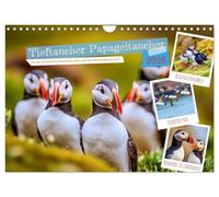 Tieftaucher Papageitaucher (Wandkalender 2026 DIN A4 quer), CALVENDO Monatskalender: Wo der Schnabel leuchtet, beginnt dein Abenteuer.