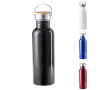 TIENDA EURASIA® Botella de Agua de Acero Inox, 800 ml, Cuerpo de Acero Inox y Tapon a Rosca con Asa de Transporte, Bidon Vintage para Camping, Gimnasio, Oficina, Botella Resistente, Color Negro