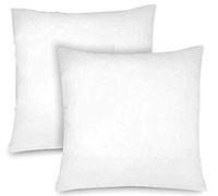 TIENDA EURASIA® - Pack de 2 Rellenos de Cojín, Relleno de Fibra Hueca Neotherm® con Gran Capacidad de recuperación, Resistente al Uso y a Lavados (60 x 60 cm)