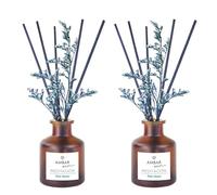 TIENDIFY - Ambientador Mikado Decorativo Ambar Zen | 40 ml con Flor Ornamental | Difusor de Varillas para hogar Oficina y salón Ideal para Espacios Interiores (2 Unidades, Palo Santo)