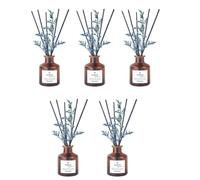 TIENDIFY - Ambientador Mikado Decorativo Ambar Zen | 40 ml con Flor Ornamental | Difusor de Varillas para hogar Oficina y salón Ideal para Espacios Interiores (5 Unidades, Palo Santo)
