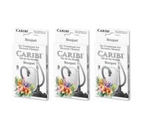 TIENDIFY - Ambientadores para Aspiradora Caribi en Pastillas | Perfuma al Aspirar | 3 Recambios Sellados | Fragancia Duradera | Para Aspiradoras con y sin Bolsa (PACK DE 3, BOUQUET)