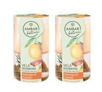 TIENDIFY - Pack Vela Aromática Ambar Botanic - 36h de Fragancia Natural | Relajación y Bienestar con Hierbas Naturales | Decorativa y Terapéutica, 130 g. (Pack de 2, Naranja Canela)