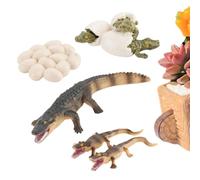 Tier-Lebenszyklus Lernkrokodilmodell - Tiesr-Wachstumszyklus-Spielzeug | Biologie Anschauungsmaterial | Für Vorschulkinder Lehrer Erzieher Kindergarten Klassenzimmer Hausunterricht