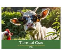 Tiere auf Gras - Der verrückte Cannabis-Kalender voller bekiffter Tiere (Wandkalender 2026 DIN A2 quer), CALVENDO Monatskalender: Lustige Kiffer-Tiere ... Humor und chilligen Motiven fürs ganze Jahr.