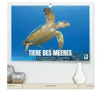 Tiere des Meeres: Faszination Tauchen (hochwertiger Premium Wandkalender 2026 DIN A2 quer), Kunstdruck in Hochglanz: Haie, Wale, Delfine: Tauchen Sie ab in die blaue Tiefe