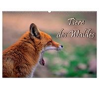 Tiere des Waldes (Wandkalender 2026 DIN A2 quer), CALVENDO Monatskalender: Naturkalender mit 13 Tiermotiven
