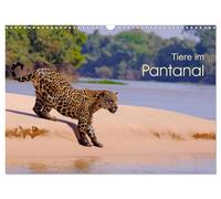 Tiere im Pantanal - Viaje (Wandkalender 2027 DIN A3 quer), CALVENDO Monatskalend