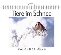Tiere im Schnee: (Wandkalender 2026, Kalender DIN A4 quer, Monatskalender im Querformat mit Kalendarium, das perfekte Geschenk)