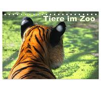 Tiere im Zoo (Tischkalender 2026 DIN A5 quer), CALVENDO Monatskalender: Ein Besuch im Zoo ist immer einen Ausflug wert.