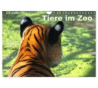 Tiere im Zoo (Wandkalender 2026 DIN A4 quer), CALVENDO Monatskalender: Ein Besuch im Zoo ist immer einen Ausflug wert.