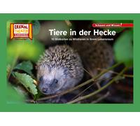 Tiere in der Hecke / Kamishibai Bildkarten: 10 Fotobildkarten für (Tapa blanda)