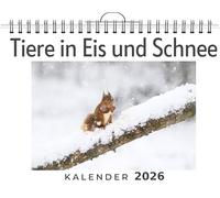 Tiere in Eis und Schnee: (Wandkalender 2026, Kalender DIN A4 quer, Monatskalender im Querformat mit Kalendarium, das perfekte Geschenk)