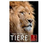 Tiere - Köpfe mit Charakter (Wandkalender 2026 DIN A2 hoch), CALVENDO Monatskalender: Auch Tiere haben eine eigene Persönlichkeit und sind im ... ängstlich oder auch draufgängerisch.