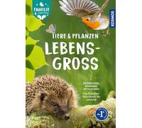 Tiere und Pflanzen lebensgroß: Rund ums Jahr die Natur entdecken. Mit über 100 Arten in Lebensgröße und vielen Mitmach-Ideen. - Familie erlebt Natur