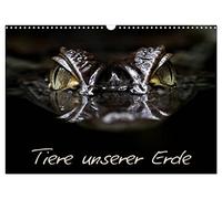 Tiere unserer Erde (Wandkalender 2026 DIN A3 quer), CALVENDO Monatskalender: Sehr schöne Aufnahmen und Momente, der Tiere unserer Erde.