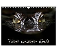 Tiere unserer Erde (Wandkalender 2026 DIN A4 quer), CALVENDO Monatskalender: Sehr schöne Aufnahmen und Momente, der Tiere unserer Erde.