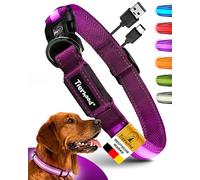 Tierhood Collar luminoso para perros pequeños y grandes, collar LED recargable, duradero, resistente a la intemperie y cómodo, ideal para paseos nocturnos, lila, talla S