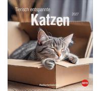 Tierisch entspannte Katzen Postkartenkalender 2027: Witzige Fotos verschlafener Stubentiger in einem Tischkalender zum Aufstellen oder Aufhängen. Kleiner Kalender für Katzenfans.