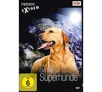 Tierisch Extrem Vol. 3: Die Top 10 Superhunde [Alemania] [DVD]