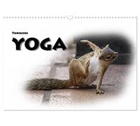 Tierisches Yoga (Wandkalender 2026 DIN A3 quer), CALVENDO Monatskalender: Lustige "Verrenkungen" in der Tierwelt, schön, niedlich einfachh nett anzusehen