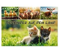 Tierkinder auf dem Land (Tischkalender 2026 DIN A5 quer), CALVENDO Monatskalender: Niedliche Tierkinder, ländlicher Charme: Ihr Begleiter durch das Jahr!