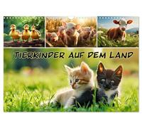 Tierkinder auf dem Land (Wandkalender 2026 DIN A3 quer), CALVENDO Monatskalender: Niedliche Tierkinder, ländlicher Charme: Ihr Begleiter durch das Jahr!