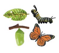 Tierlebenszyklus-Figuren - Pädagogisches Lernset | Realistische Wachstums-Modelle (Schmetterling, Schildkröte, Motte), Mint-Lernspielzeug Für Biología & Naturkunde