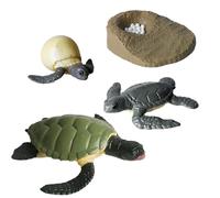 Tierlebenszyklus-Figuren - Pädagogisches Lernset | Realistische Wachstums-Modelle (Schmetterling, Schildkröte, Motte), Mint-Lernspielzeug Für Biología & Naturkunde