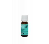Tierra Verde Aceite esencial de menta BIO (10 ml) - favorece las vías respiratorias y la concentración