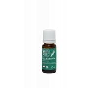 Tierra Verde Aceite esencial de romero BIO (10 ml) - potenciador de la vitalidad