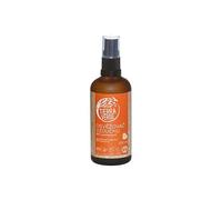 Tierra Verde Ambientador - Naranja ecológica (100 ml)