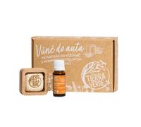 Tierra Verde Fragancia para coche - BIO naranja