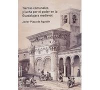 Tierras comunales y lucha por el poder en la Guadalajara medieval (Monografías Humanidades)