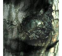 Tiersen,Yann - The Waltz Of The Monsters [Vinilo]