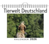 Tierwelt Deutschland: (Wandkalender 2026, Kalender DIN A4 quer, Monatskalender im Querformat mit Kalendarium, das perfekte Geschenk)