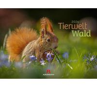 Tierwelt Wald Kalender 2026: Bildstarker Tier-Kalender im Querformat (45x33 cm) | Heimische Wildtiere in ihrem Lebensraum