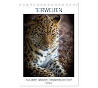Tierwelten - aus dem ältesten Tiergarten der Welt (Tischkalender 2026 DIN A5 hoch), CALVENDO Monatskalender: Beeindruckende Blicke in die Welt der Tiere im Tiergarten Schönbrunn.