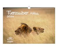 Tierzauber África Calendario DIN A3 para 2026 animales de África - Juego de regalo Contenido: 1 calendario, 1 colgante de Navidad, 1 colgante de felicitación (total 3 piezas)