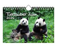 Tierzauber Asia DIN A5 Calendario para 2026 Animales Bosque Naturaleza Árbol - Seelenzauber
