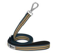 Tiffpaws Correa larga de PVC de 6 pies - Correa impermeable para entrenamiento de perro para recordar, nadar, acampar, playa, caza, caminar (rayas azules y naranjas, 6 pies x 2 cm de ancho)
