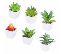 Tifuly 6 Piezas de Plantas suculentas Artificiales en macetas, suculentas pequeñas realistas Planta de vegetación Falsa con Maceta de melamina para la decoración de la Escuela en el hogar (Juego 4)
