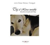 Tig El Héroe Invisible