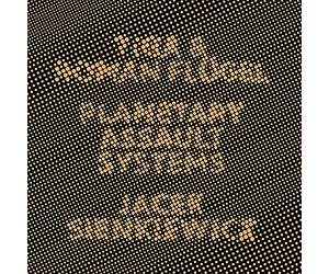 Tiga & Roman Flügel - 20 Years: Cocoon Recordings - EP4 [Vinilo]